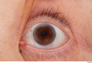 HD Eyes Zana Kadziwa eye eye texture eyelash iris pupil…